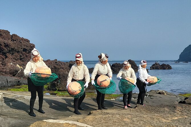 2 Day Private pictures of Nature Tour very experience taxi tour - Jeju Stone Park to the cliff-and-waterfall run