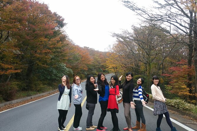 2 Days Jeju Island Private Taxi Tour (East/West of Jeju Island ) - What the driver quality adds, based on real experiences