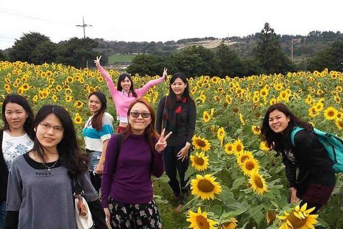 2 Days Private Taxi Tour - West and South of Jeju Island - Why this west and south taxi loop makes sense