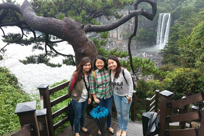2 Days Private Taxi Tour - West and South of Jeju Island - What you really get for $700 per group