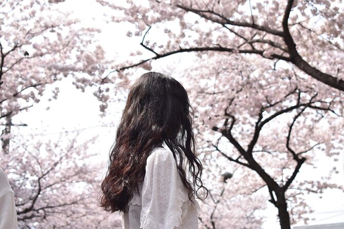 2025 Cherry Blossom East Day Tour in Jeju with UNESCO - Key things that make this Jeju cherry blossom day tour worth your time