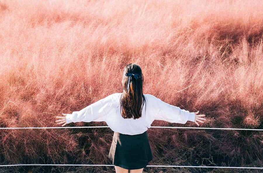 2025 Jeju Autumn Tour with Pink Muhly Festival - Price and what your $95 actually buys