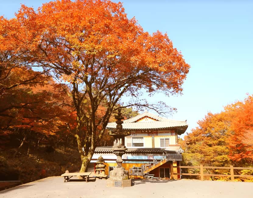 2025 Jeju Autumn Tour with Pink Muhly Festival - Pacing and guide style: why Sam and Jason stood out