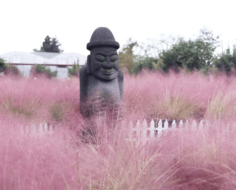 2025 Jeju Autumn Tour with Pink Muhly Festival - Autumn weather on Jeju, and why this season is the whole point