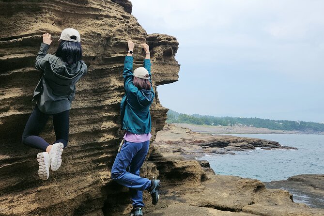 2025 JEJU Cherry Blossom West&South Full Day Tour with UNESCO - Camellia Hill: a color preview before the cherry peak