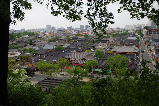 3-Day Korea Western course by K-shuttle Tour from Seoul to Busan - Guide Quality Is a Big Part of This Tour’s Value