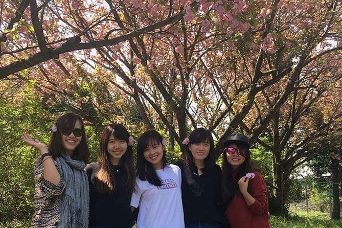 3 days Private Taxi Tour in Jeju Island - Should you book this private 3-day Jeju taxi tour?