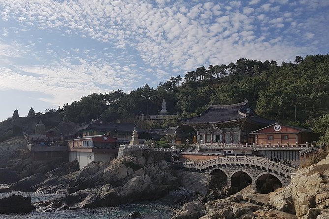 9-Days Tasty Journey Around South Korea Tour - Tongyeong market chaos (in a good way) and Busan cable-car skyline moments