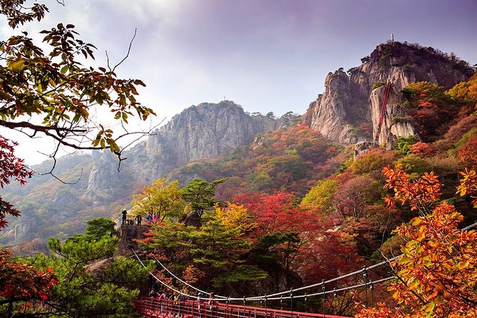 9-Days Tasty Journey Around South Korea Tour - Busan beach time plus war memory, refugee history, and temple-by-the-sea calm