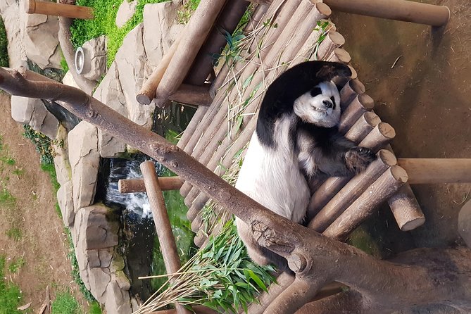 Admission to Everland Theme Park with Transport from Seoul - European Adventure: A Breather Zone Between Big Moments