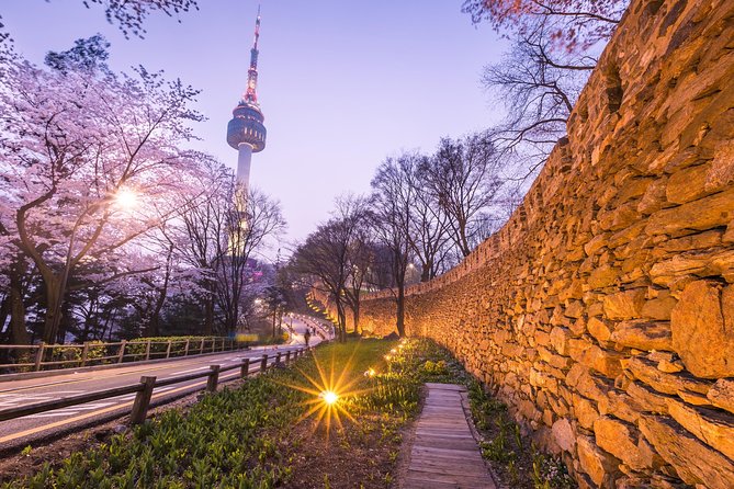 Afternoon Seoul: Hanok Vibes, Netflix Street Food & N Seoul Tower - What You’re Paying For: Real Value in Admissions and Pickup