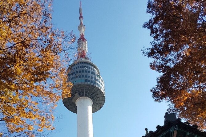 Afternoon Seoul: Hanok Vibes, Netflix Street Food & N Seoul Tower - Lunch and Snacks: How to Eat Smart in 4 Hours