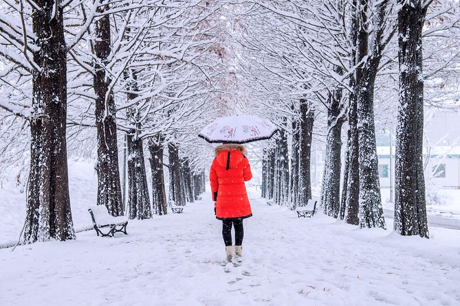 All Day Private Make your own plan tour to Nami Island and others - The Garden of Morning Calm and the light-filled payoff