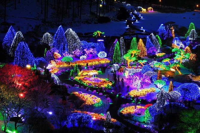 All Day Private Make your own plan tour to Nami Island and others - Price and what you really get for $270 per person