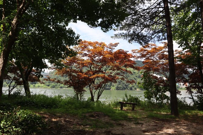 Alpaca, Nami, Petite Fr, Italian Village, Garden of Morning Calm - Key Points You Should Know Before You Go