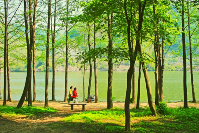 Alpaca World and Nami Island with Gangchon Rail Bike Tour - A One-Day Combo From Hongik Univ Station