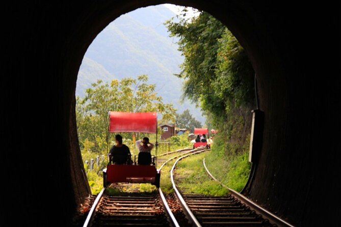 Alpaca World and Nami Island with Gangchon Rail Bike Tour - Gangchon Rail Park Rail Bike: Old Tracks, Wind, and River Views