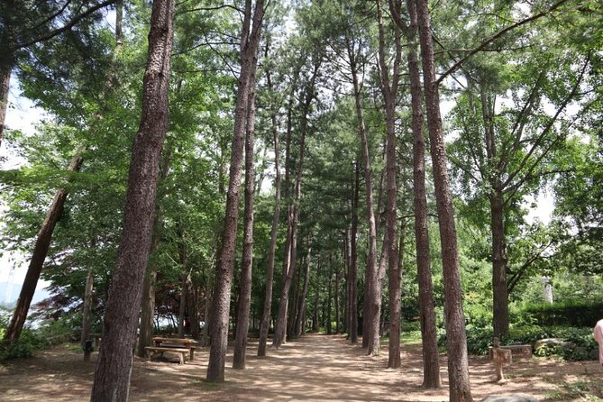Alpaca World and Nami Island with Gangchon Rail Bike Tour - Should You Book This Alpaca World, Nami Island, and Rail Bike Tour?