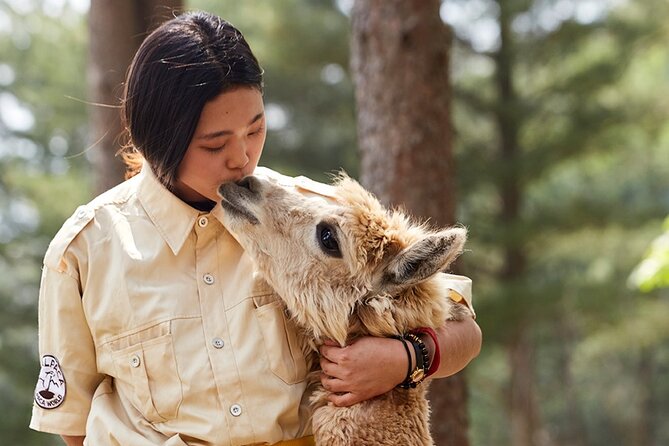 Alpaca World & Nami Island & Garden of Morning Calm One Day Tour - Stop 1 Alpaca World: feeding, animal watching, and farm facts