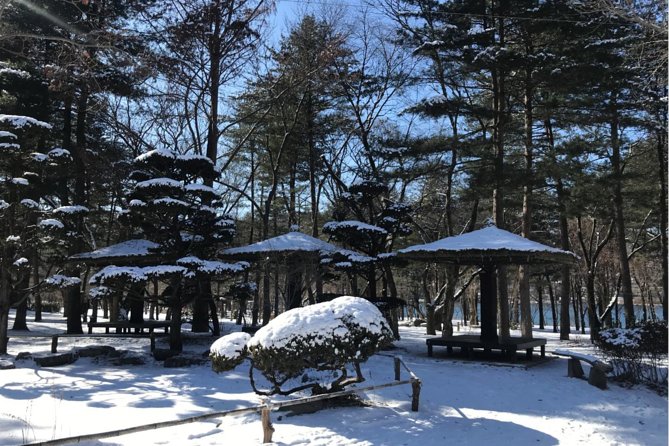 Alpaca World & Nami Island & Garden of Morning Calm One Day Tour - Stop 3 Garden of Morning Calm: flowers, winter atmosphere, and a quieter finish