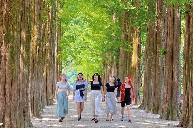 Alpaca World & Nami Island & Garden of Morning Calm One Day Tour - Lunch breaks, snack strategy, and keeping your energy up