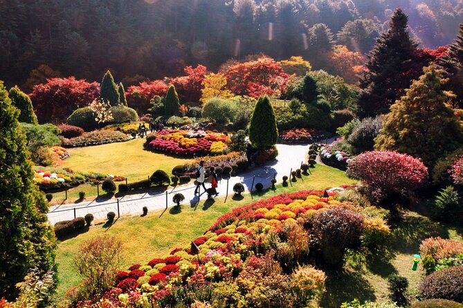Alpaca World & Nami Island & Garden of Morning Calm One Day Tour - Getting from Hongik Univ. Station and managing the long ride