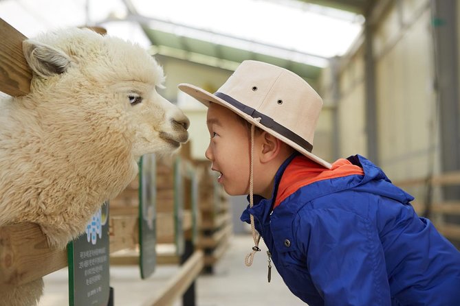 Alpaca World, Railbike and Vivaldi Park Experiences from Seoul - The value of the included transport and tickets