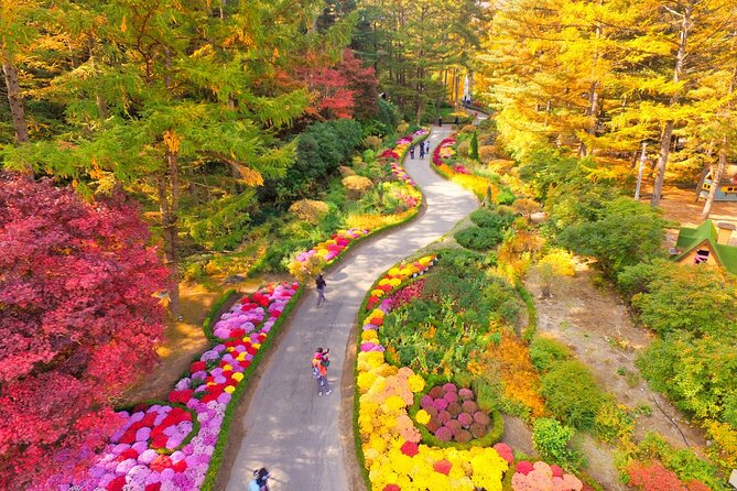 Alpaca World Tour with Nami Island (optional Railbike or Garden) - Gangchon Rail Park rail bike: fun motion on a quiet old track