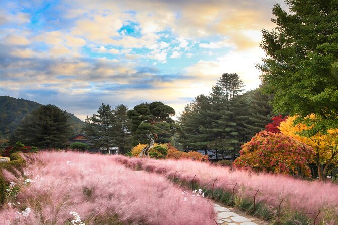 Alpaca World Tour with Nami Island (optional Railbike or Garden) - Garden of Morning Calm: an optional private garden plus winter lights
