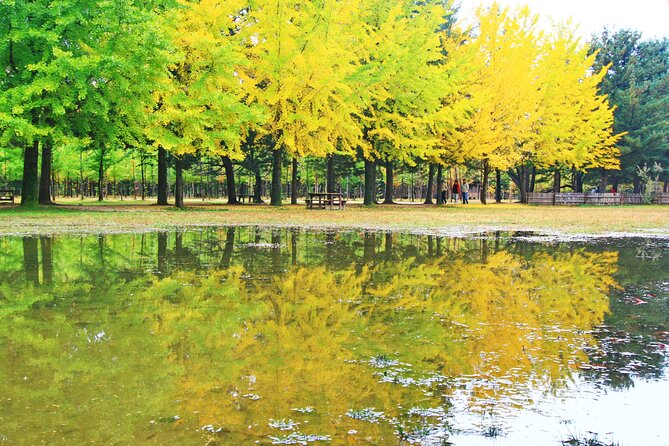Alpaca World Tour with Nami Island (optional Railbike or Garden) - The Stay Healing Park Starlight Festival: when night turns the day into a show