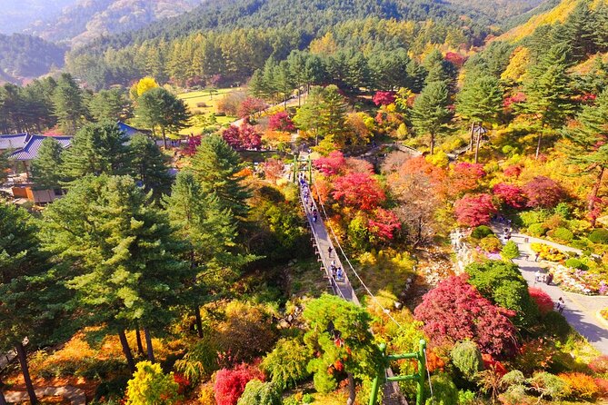 Alpaca World Tour with Nami Island (optional Railbike or Garden) - Price and value: what $66.67 buys you (and what it doesn’t)