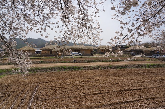Andong Hahoe Folk Village [UNESCO World Heritage] Private Tour from Seoul - Byeongsan Seowon: Confucian Learning in a Very Physical Setting