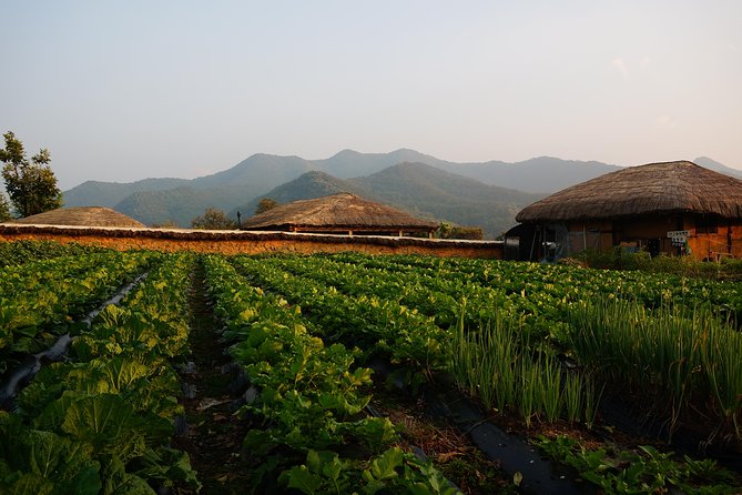 Andong Hahoe Village [UNESCO site] Premium Private Tour from Seoul - The guide experience in the car and at each stop