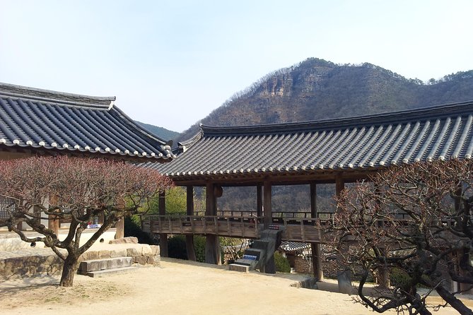 Andong Hahoe Village [UNESCO site] Premium Private Tour from Seoul - Price and what you actually get for $274