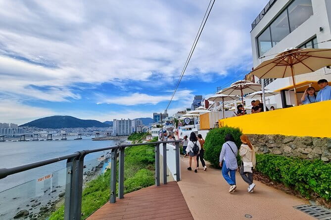Authentic Busan Full-Day City Highlights Tour - Price and Value: Why This Costs About $40