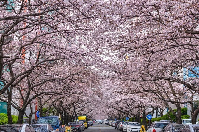 Authentic Busan Full-Day City Highlights Tour - What You’ll Feel Like After 9 Hours on This Route