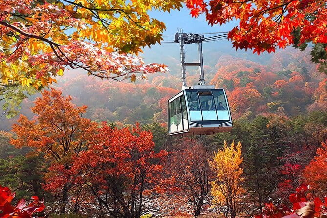 Autumn Foliage-Mt. Seorak, Sokcho Fish Market, Sokcho Beach - Seoraksan plus Sokcho in one organized day