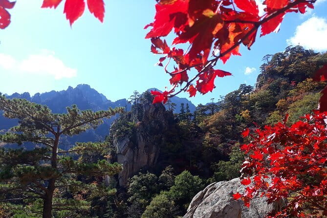 Autumn Foliage-Mt. Seorak, Sokcho Fish Market, Sokcho Beach - Key highlights to notice before you go