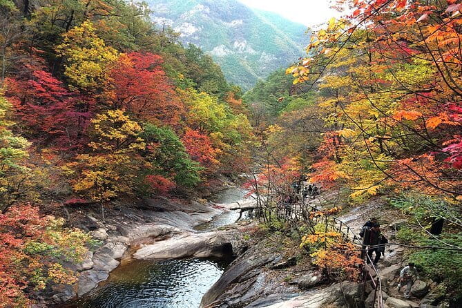 Autumn Foliage-Mt. Seorak, Sokcho Fish Market, Sokcho Beach - A full day from Seoul: timing, meet-up points, and real value