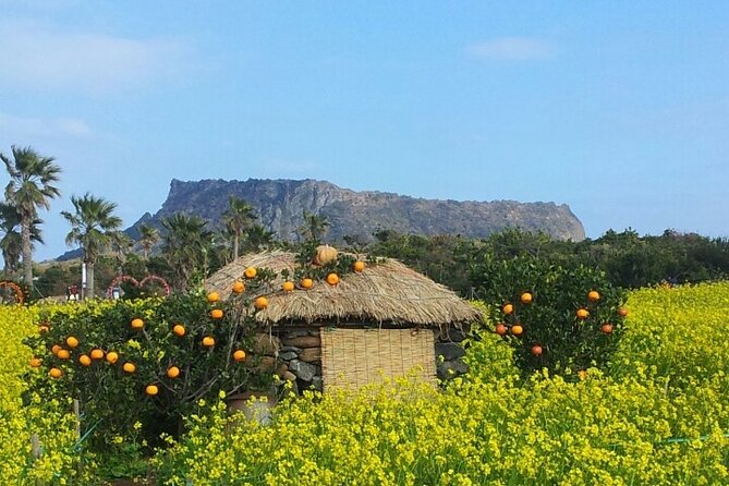 Beautiful Jeju Island Private UNESCO day Tour - Key reasons this UNESCO day tour works well