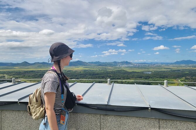 Best DMZ Tour Korea from Seoul (Red Suspension Bridge Optional) - Optional JSA Museum at Tongilchon-gil and strawberry picking