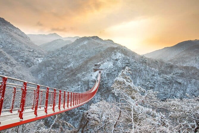 Best Korea DMZ Private Tour from Seoul (and Suspension Bridge) - Price and value at $245 per person