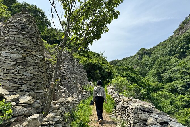Boseong Tour : Green Tea Field, Mountain & Lake Trail (Private) - Key highlights to look forward to