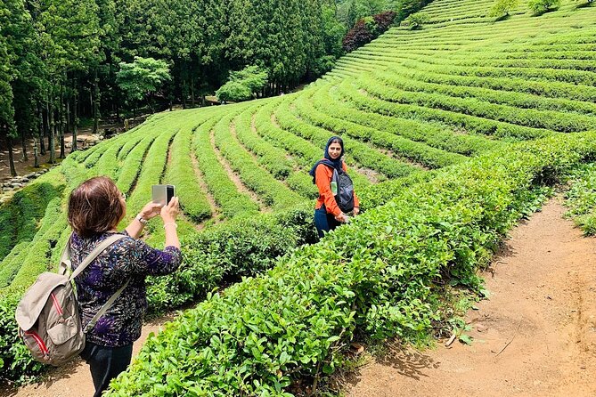 Boseong Tour : Green Tea Field, Mountain & Lake Trail (Private) - Haepyeong Lake Trail and Vinegar Park: nature calm, plus a tangy break