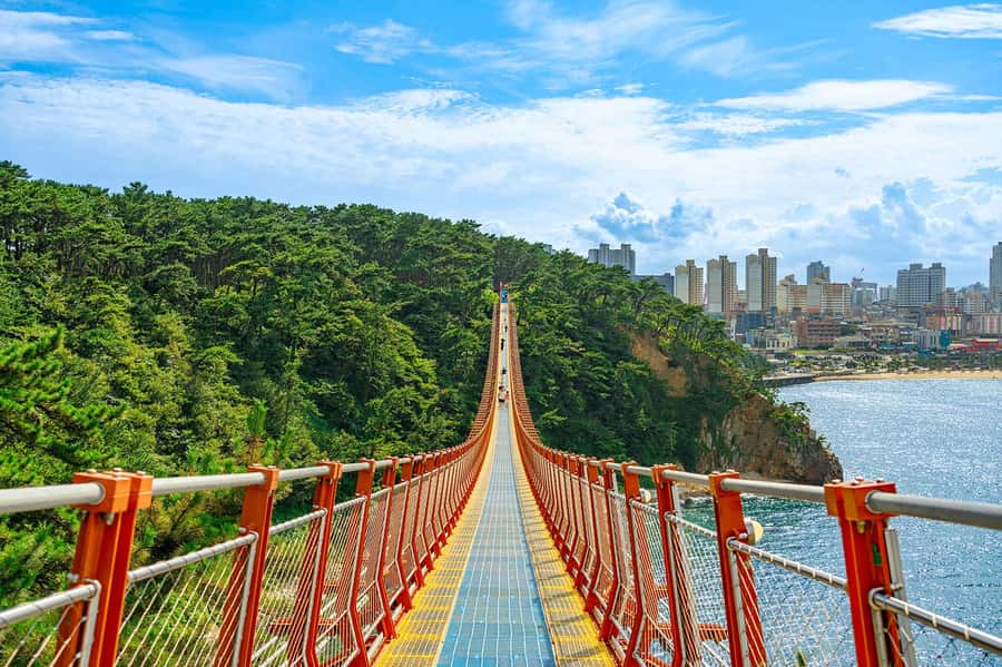 Busan: 7 Highlights Gyeongju City One Day Tour - Busan to Gyeongju, without the transport headache