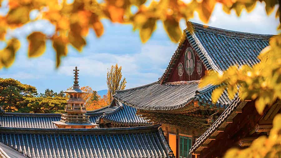 Busan: 7 Highlights Gyeongju City One Day Tour - Price and value, what $47 really buys you