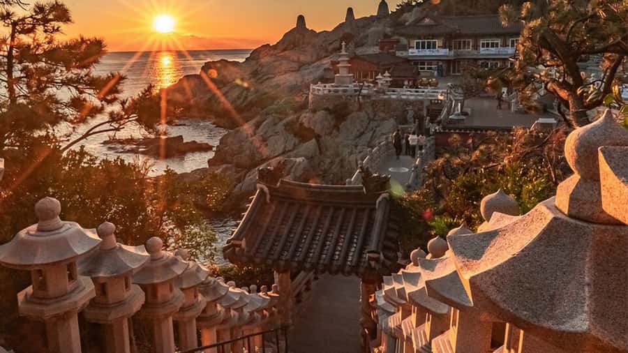Busan: A Well-Rounded Small-Group Tour with Certified Guide - Value and the $55 question: what you actually get