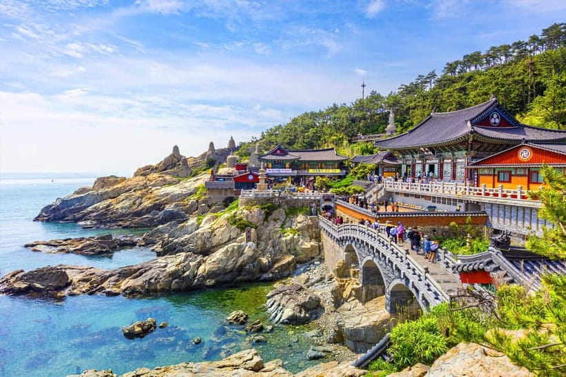 Busan City Private Chartered Car tour - Key takeaways before you book