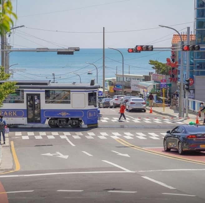 Busan City Private Chartered Car tour - Why a private charter car works so well in Busan