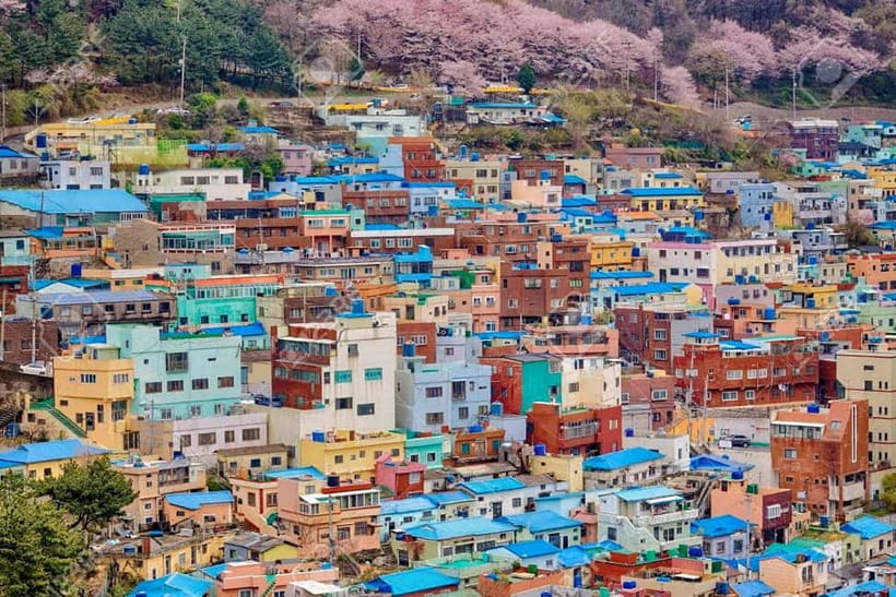 Busan City Private Chartered Car tour - How the “custom itinerary” really feels in practice
